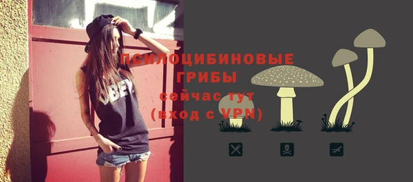 синтетический гашиш Богородск