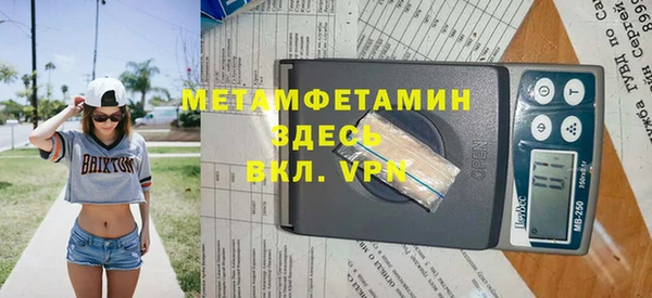 индика Гусев