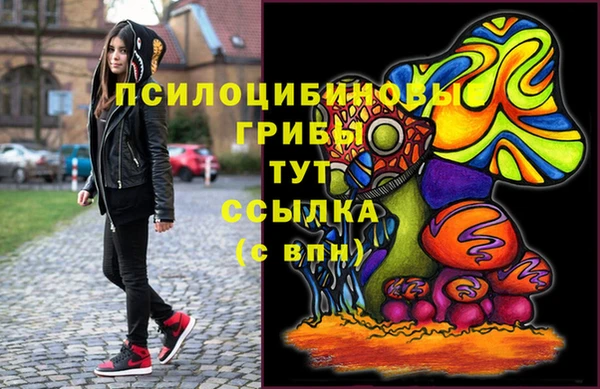 марки nbome Богородицк